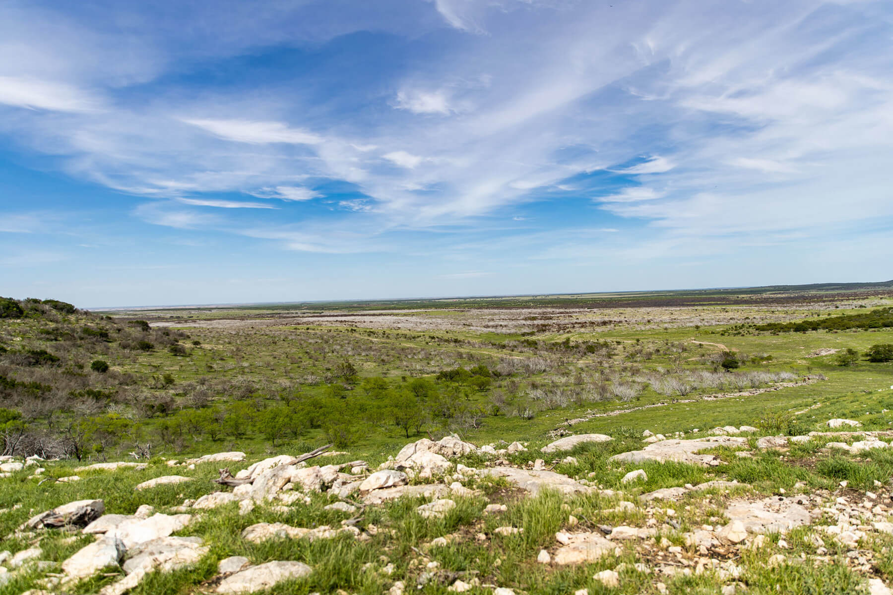 Home The Rocking Chair Ranch Hereford Cattle Texas